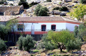 El Almendro de Fuentes Nuevas, Castril